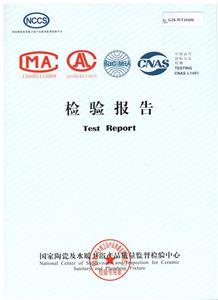 檢驗(yàn)報告