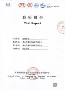 檢驗(yàn)報告