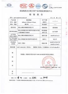 檢驗(yàn)報告